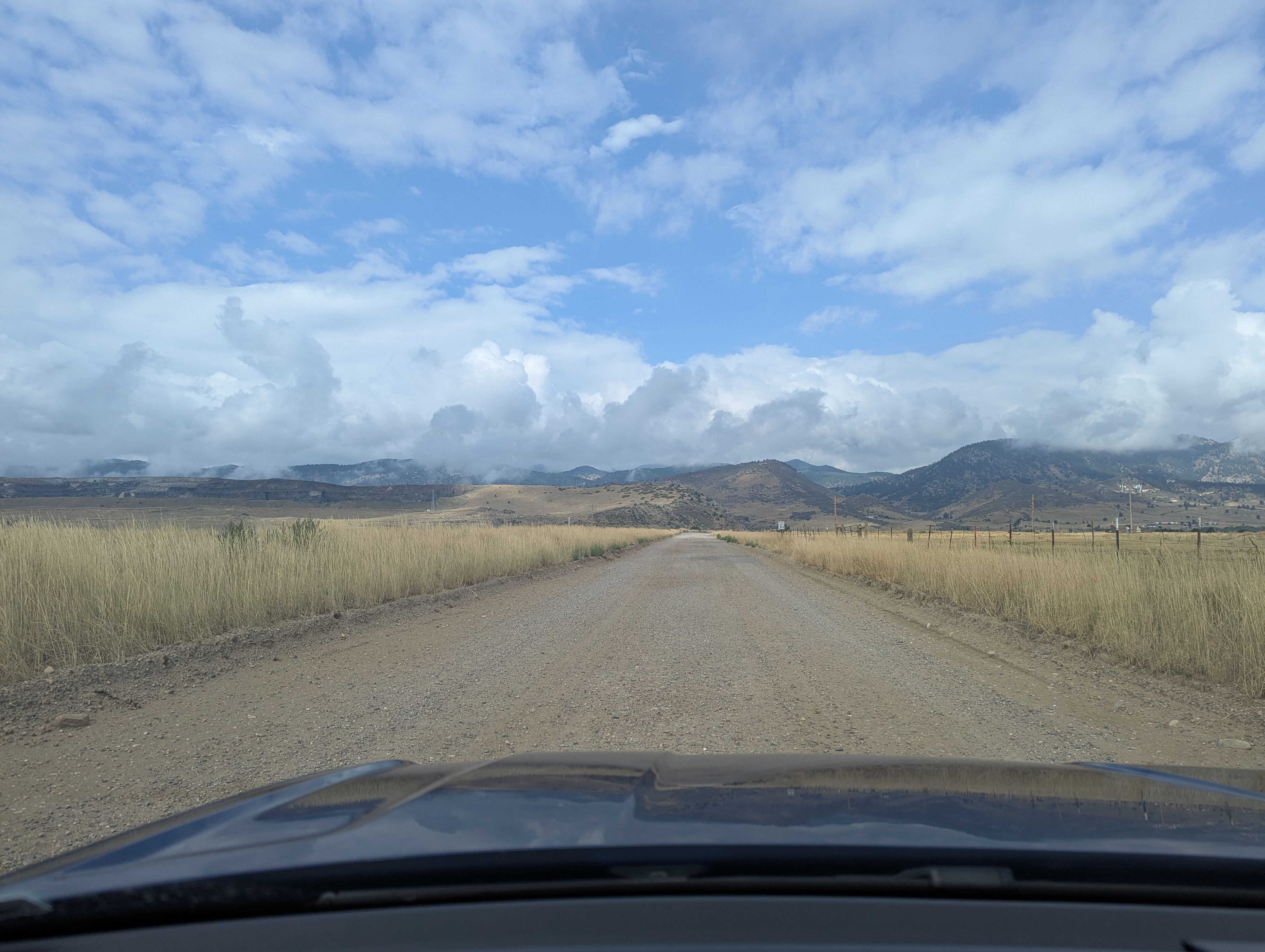 Tree Ring, Home Improvement, Morrison, Colorado